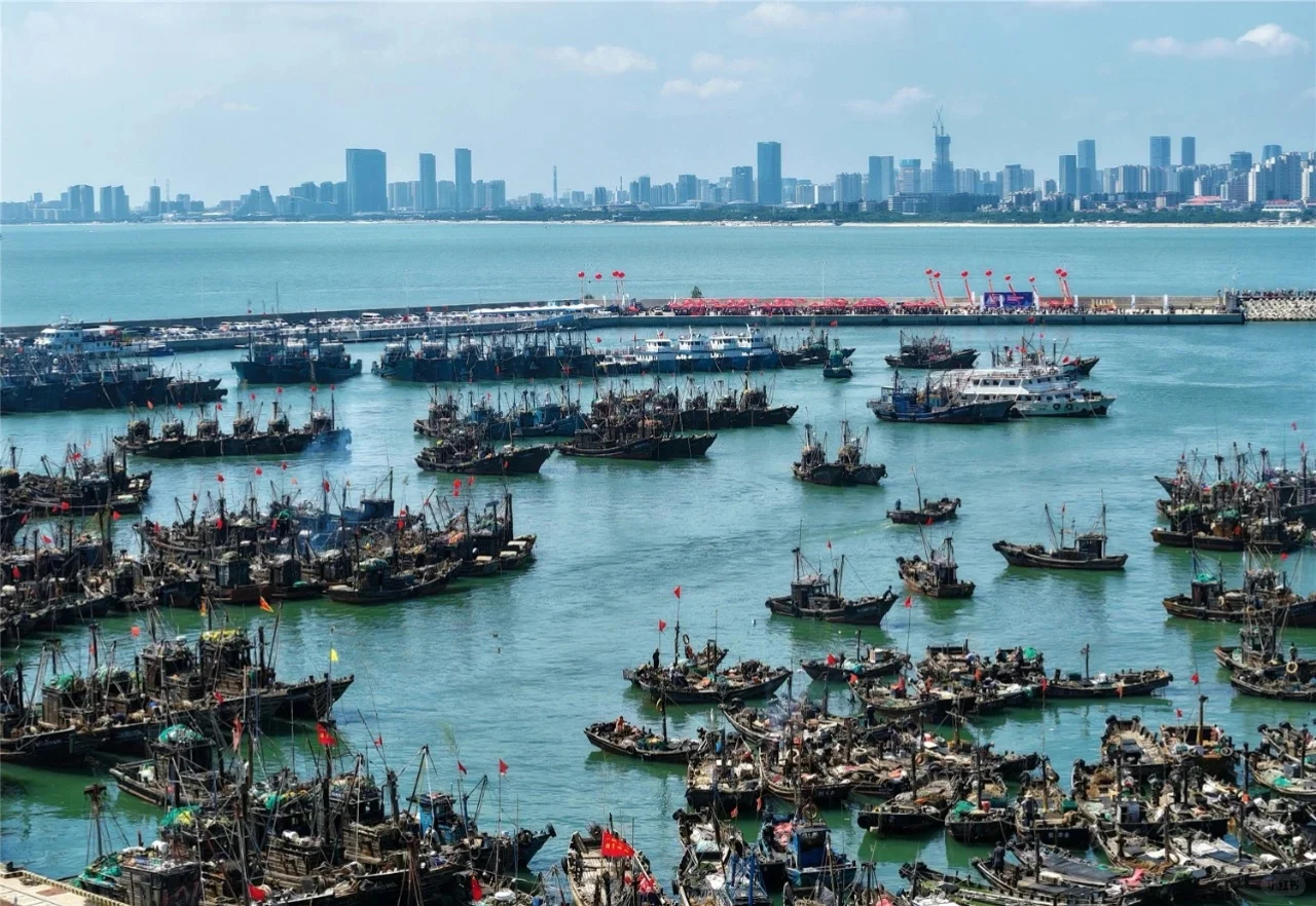 日照开海了，第一鲜啥时候上岸