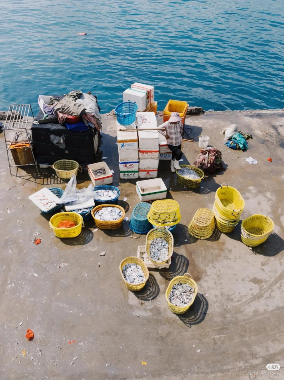 刷到这组海边渔获照，瞬间破防了🌊