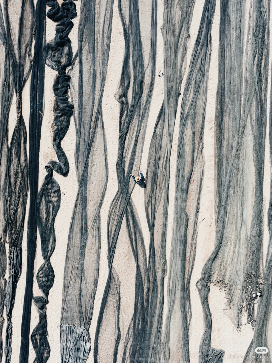 刷到这组海边渔获照，瞬间破防了🌊