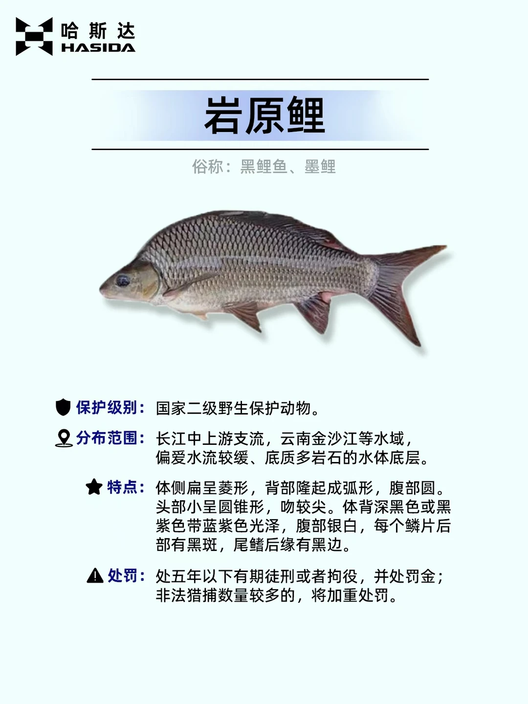 钓鱼人保命！这12种鱼遇到一定要放生⚠️