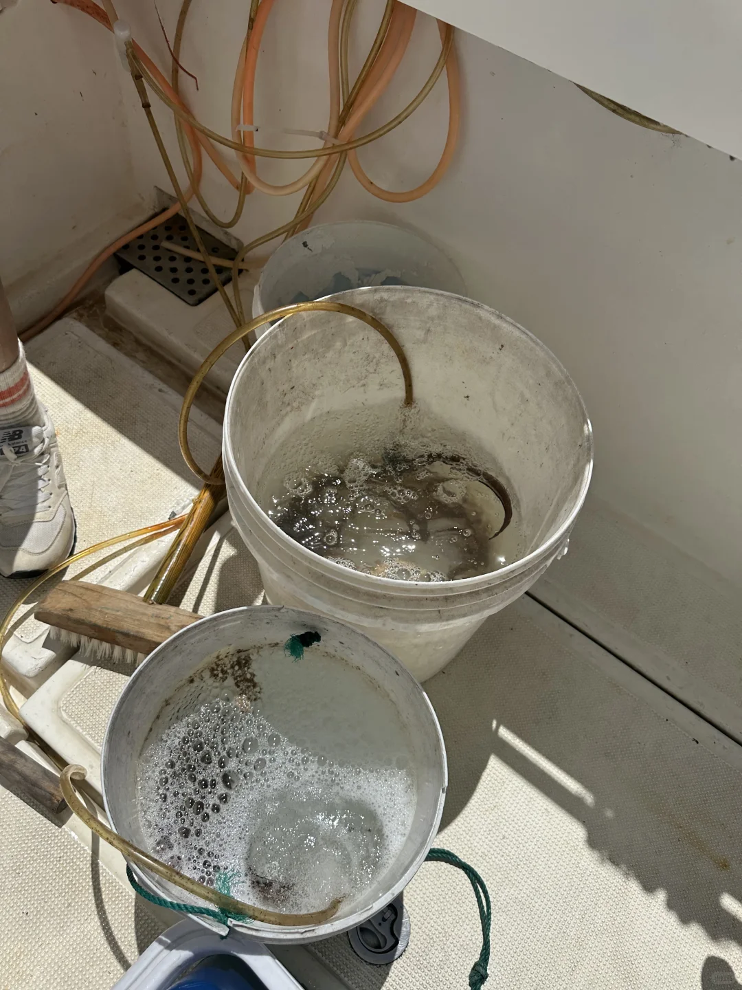 小小海钓 拿下！