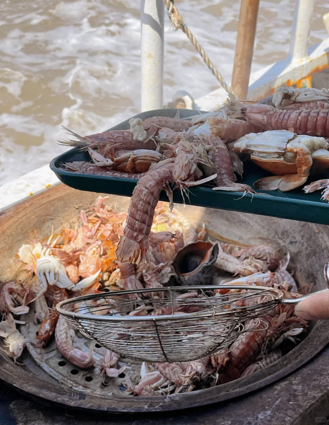 天津站出海捕鱼攻略来啦🌊