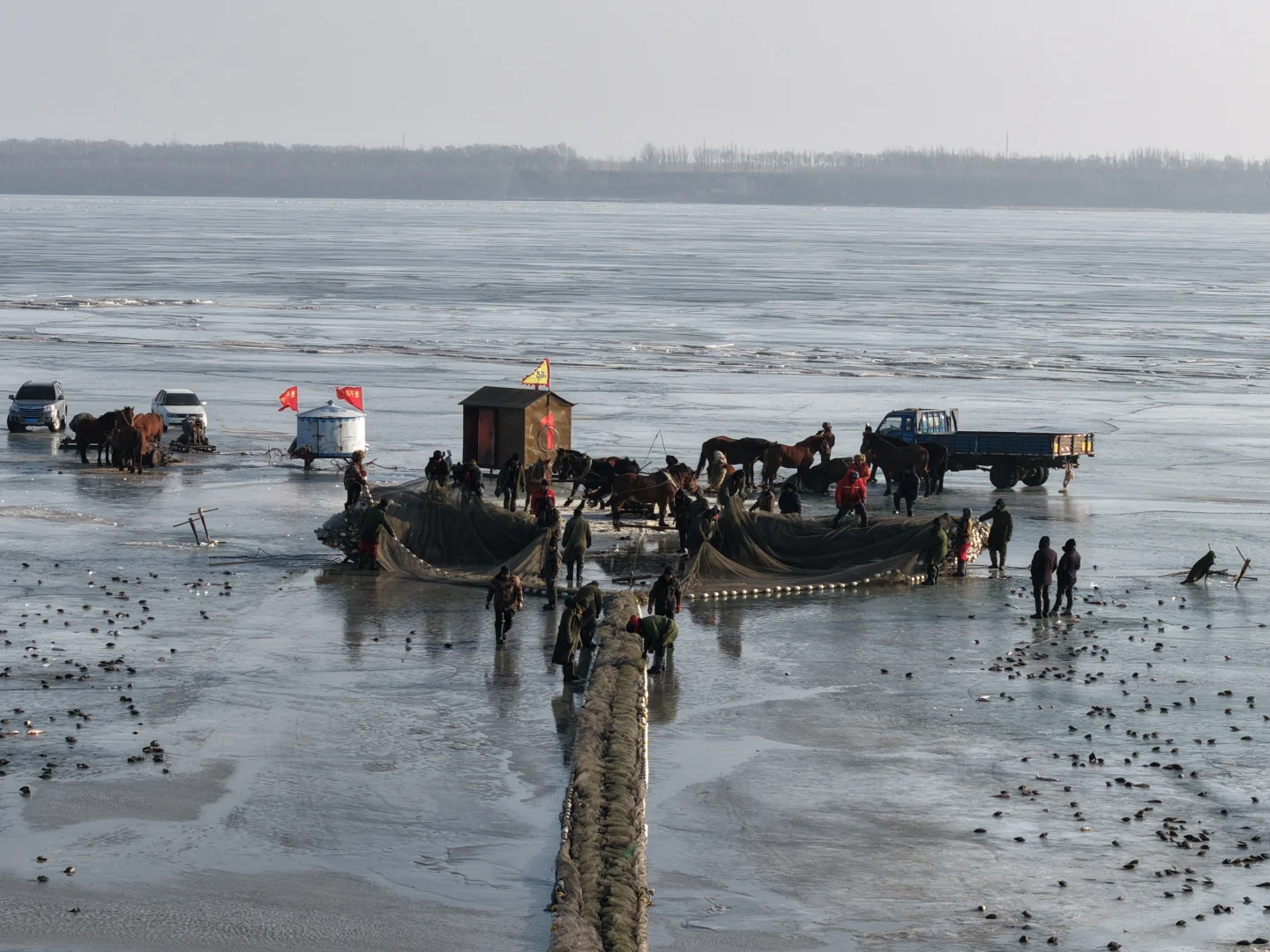 查干湖冬捕第一天