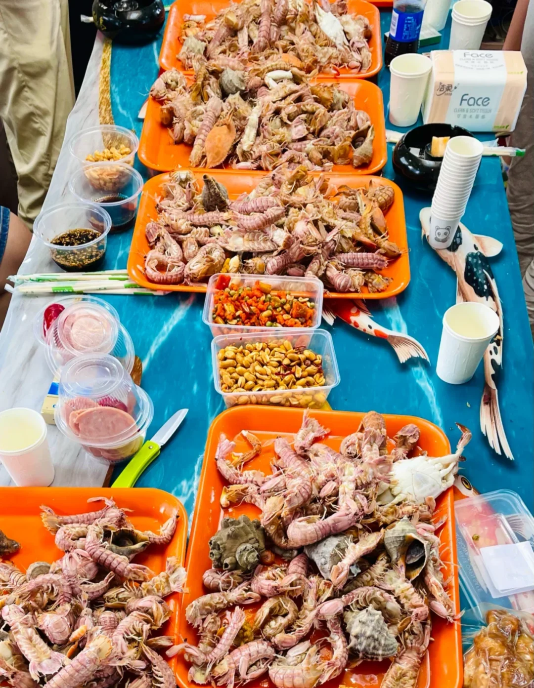 天津站出海捕鱼攻略来啦🌊