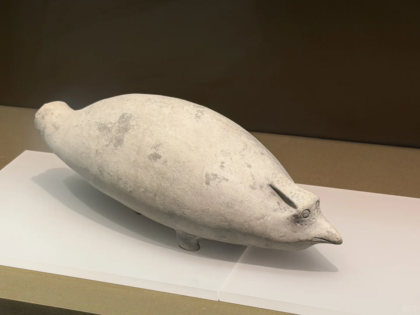 微笑了五千年的江豚 戴个帽子也不是鸟