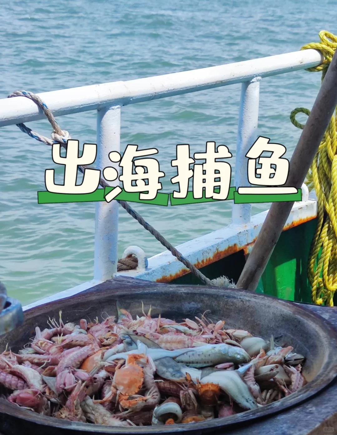 天津站出海捕鱼攻略来啦🌊