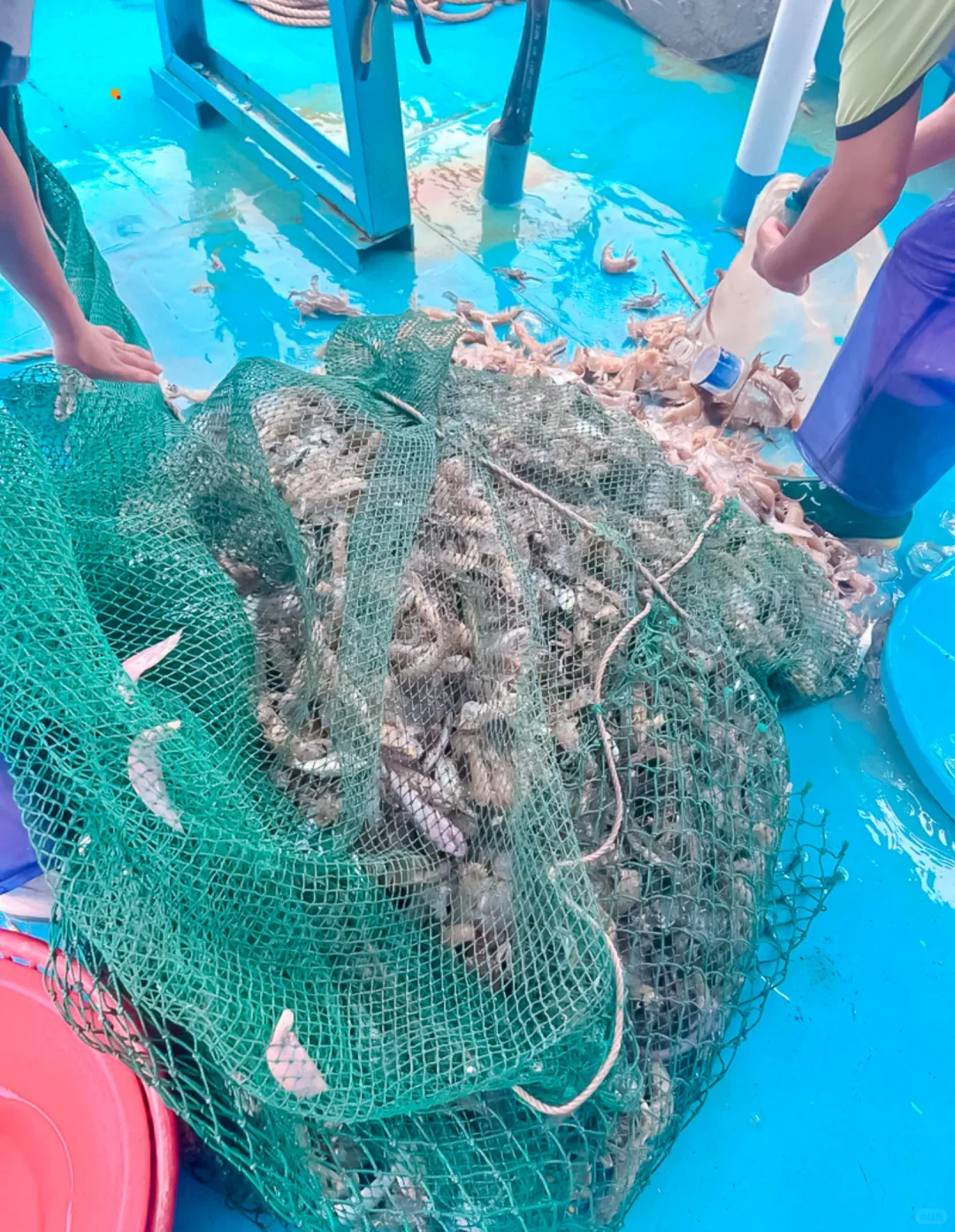 天津站出海捕鱼攻略来啦🌊