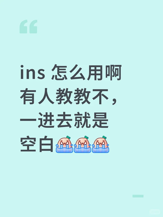 ins 怎么用啊有人教教不，一进去就是空白