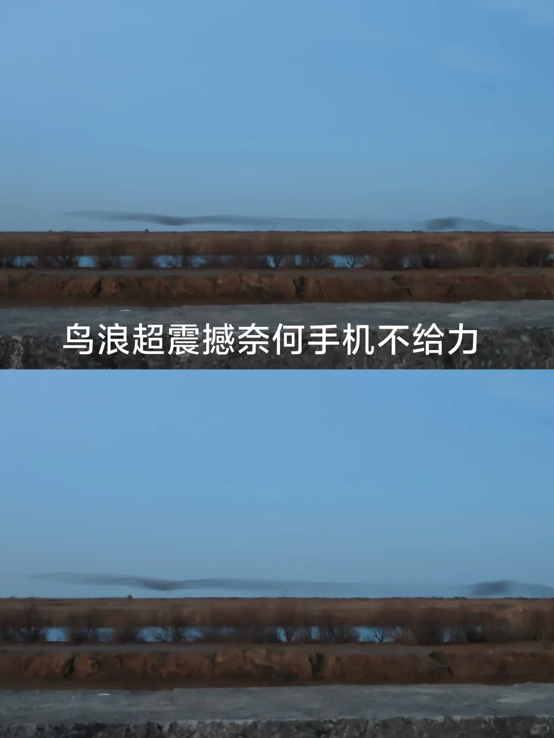 看鸟浪、撸草垛、炫深海鱼锅附攻略