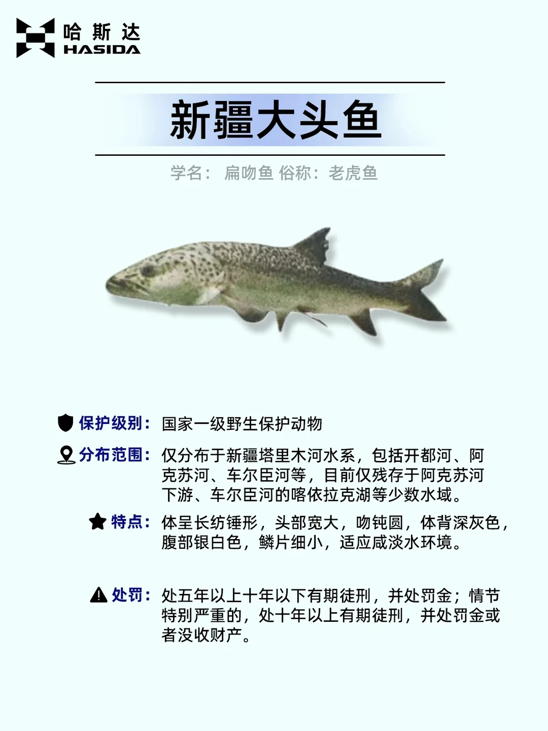 钓鱼人保命！这12种鱼遇到一定要放生⚠️