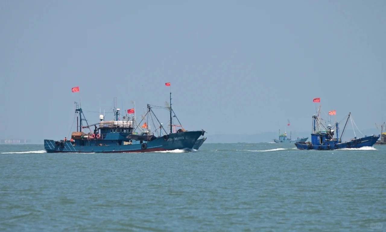 日照开海了，第一鲜啥时候上岸