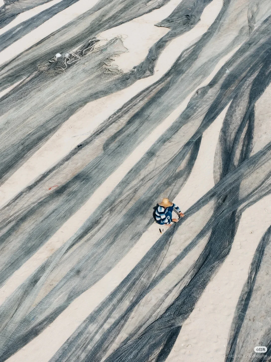 刷到这组海边渔获照，瞬间破防了🌊