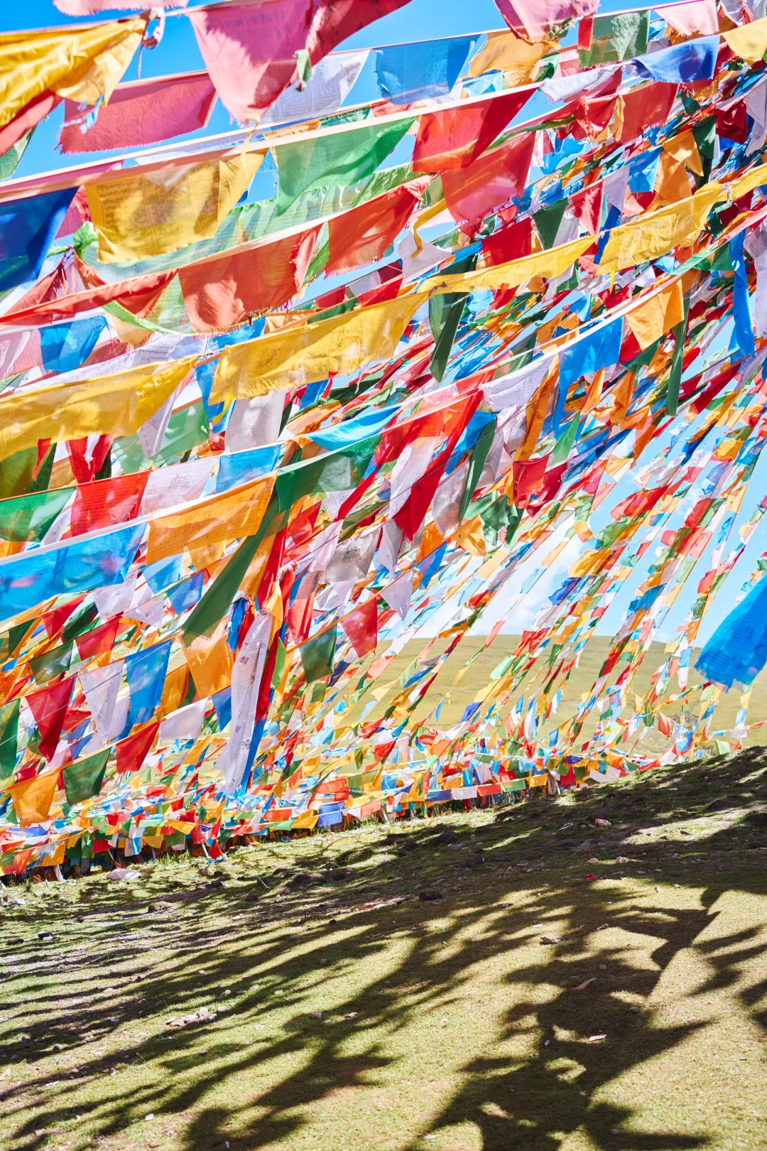 关于一座攀登未登峰的故事