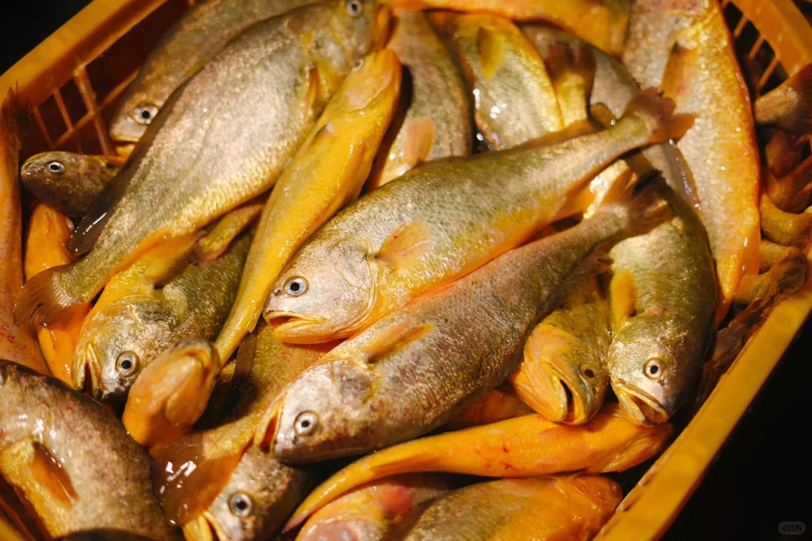 风浪越大，🐟鱼越好