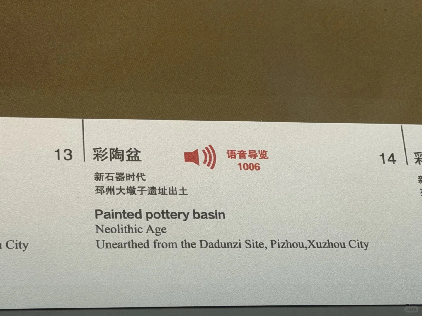 微笑了五千年的江豚 戴个帽子也不是鸟