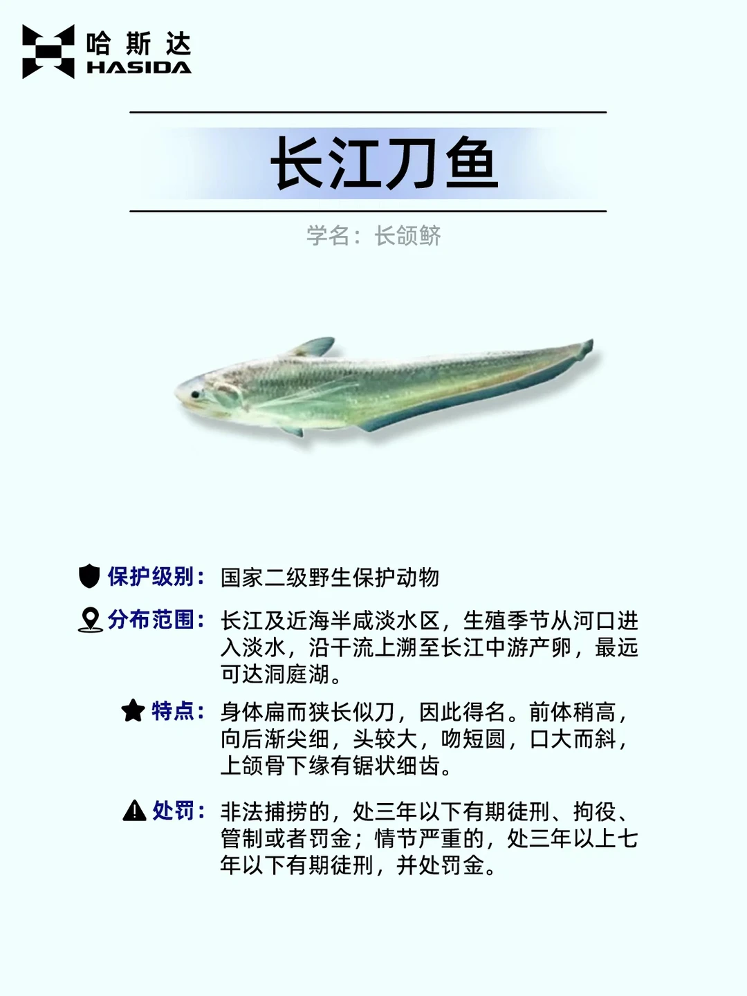 钓鱼人保命！这12种鱼遇到一定要放生⚠️