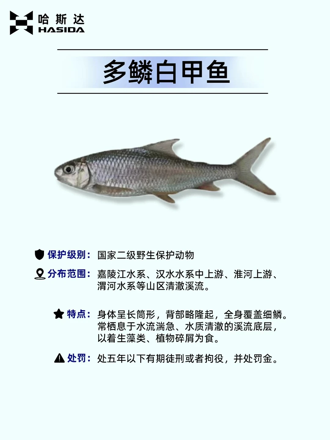 钓鱼人保命！这12种鱼遇到一定要放生⚠️