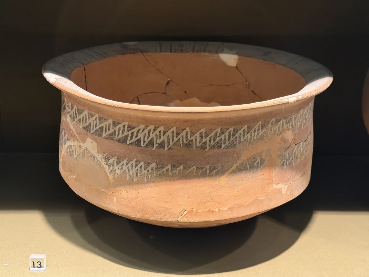 微笑了五千年的江豚 戴个帽子也不是鸟