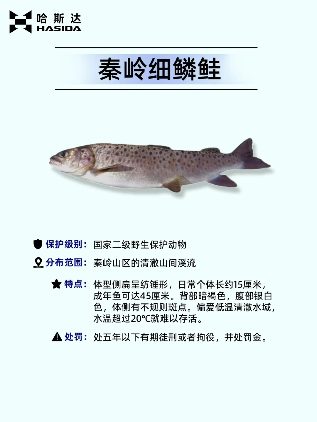 钓鱼人保命！这12种鱼遇到一定要放生⚠️