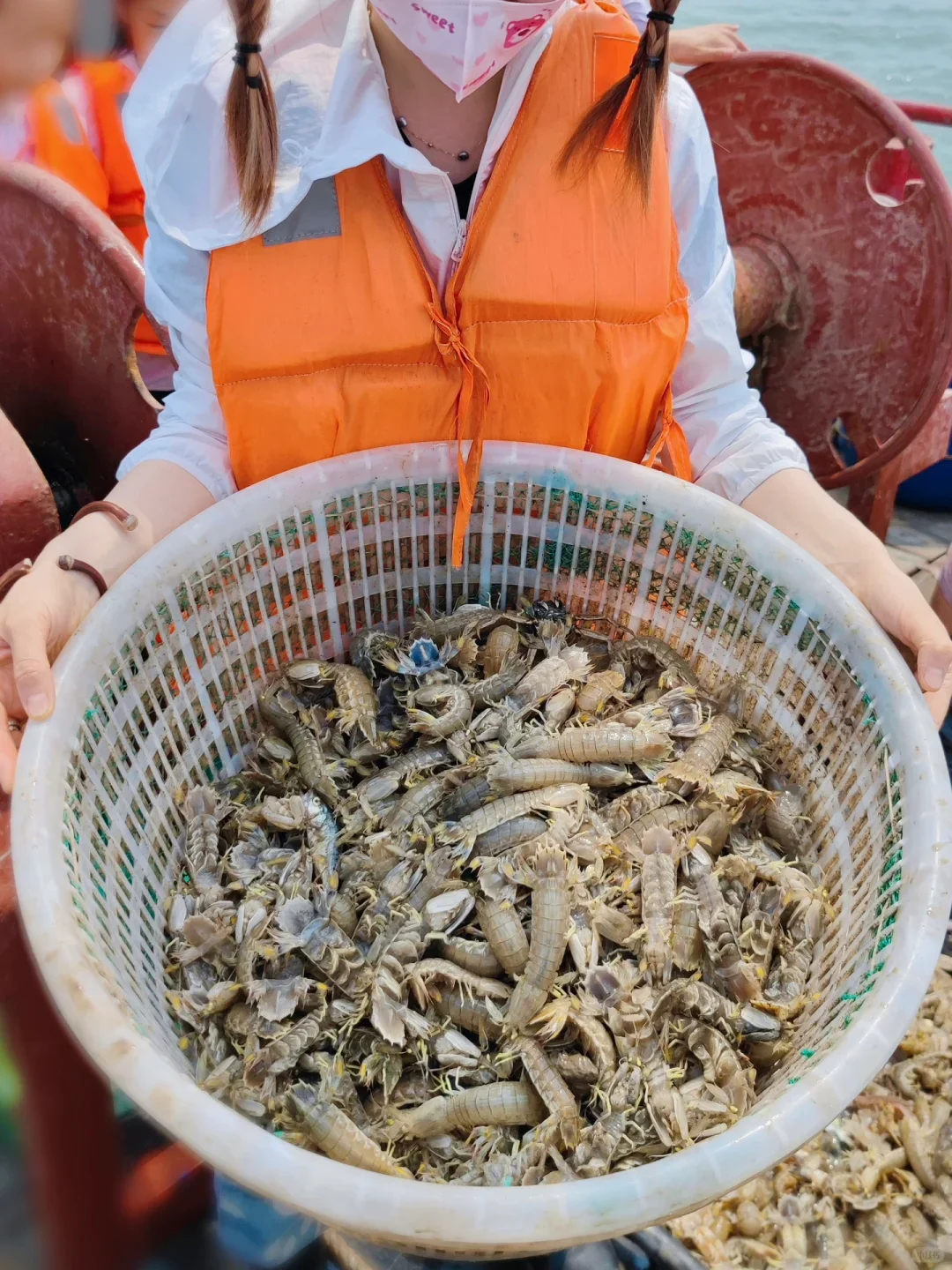 天津站出海捕鱼攻略来啦🌊
