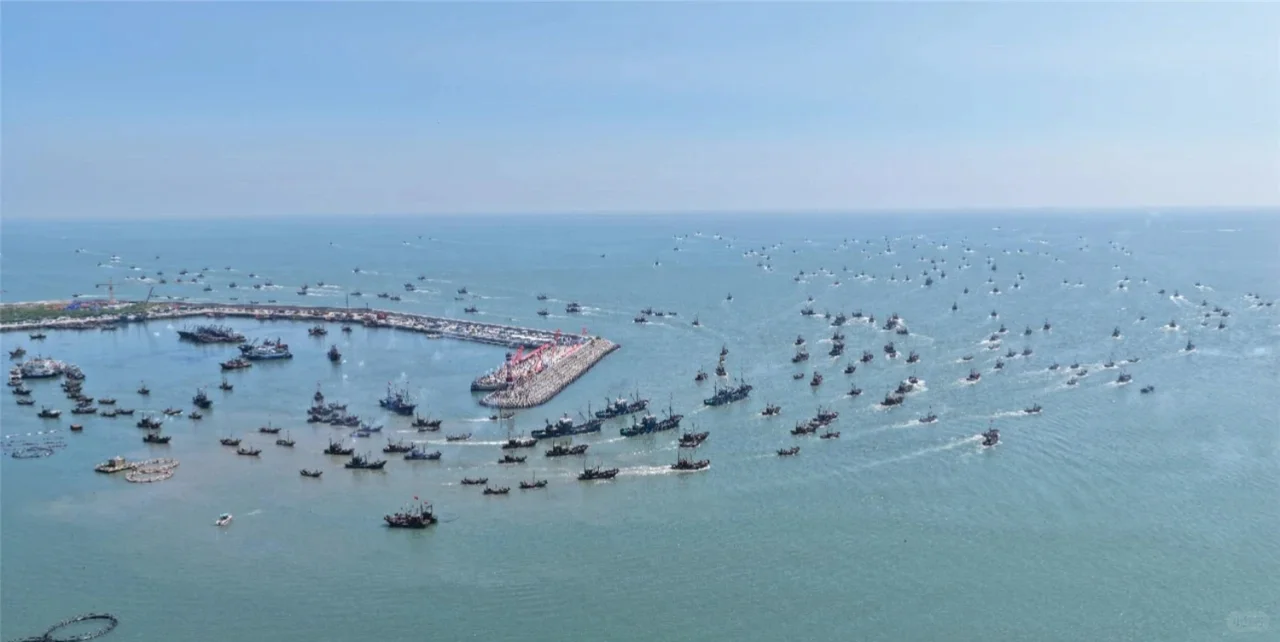 日照开海了，第一鲜啥时候上岸