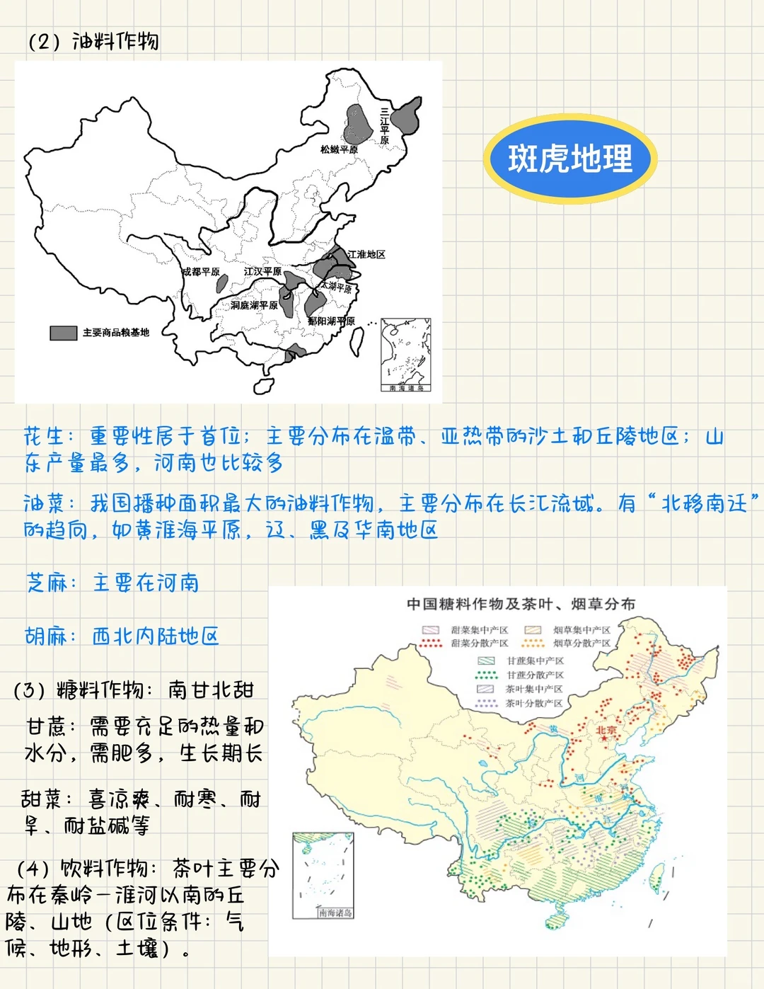 全网整理最全关于中国农业全部知识点‼️