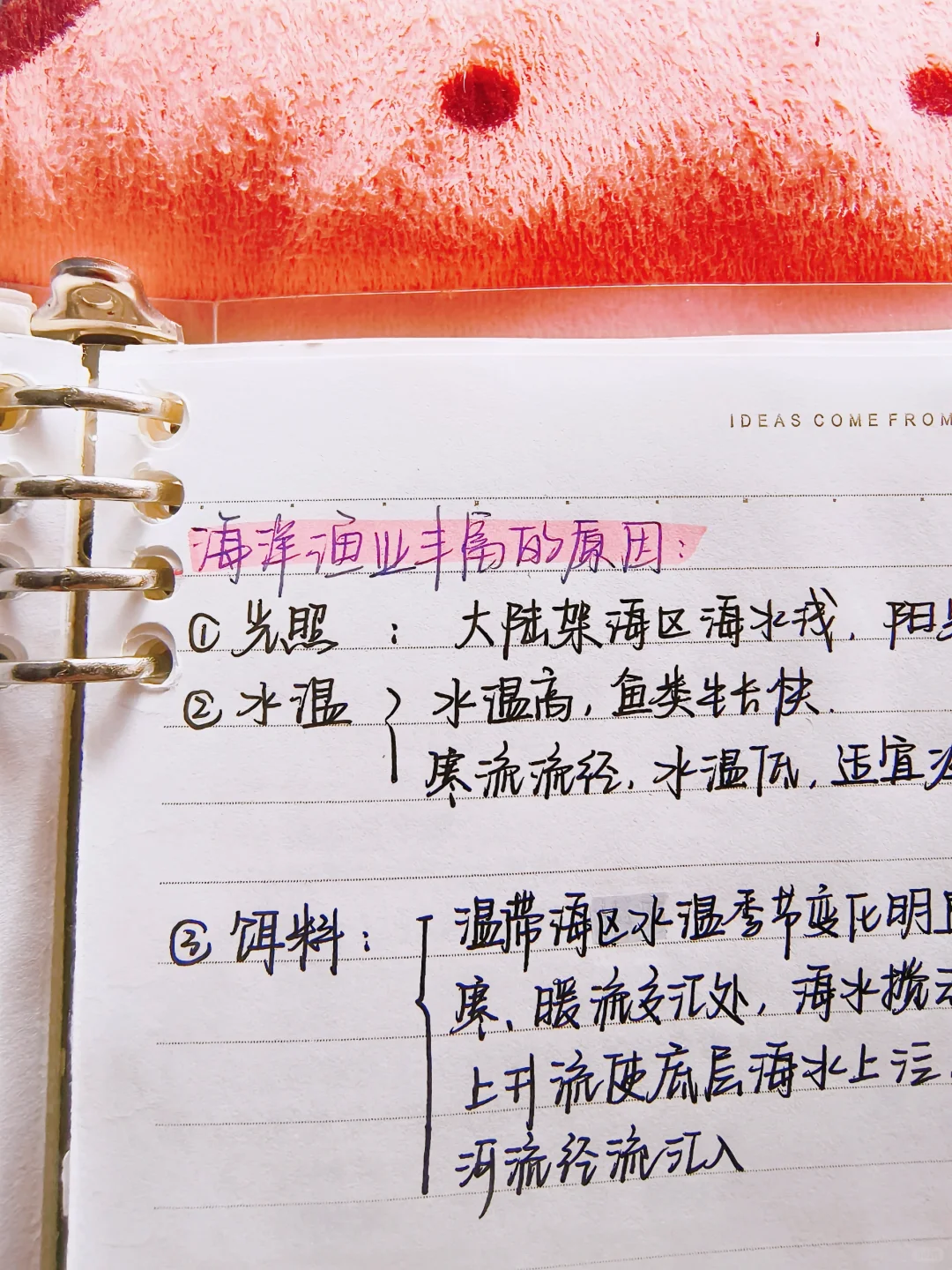 地理笔记🐬|高三地理复习