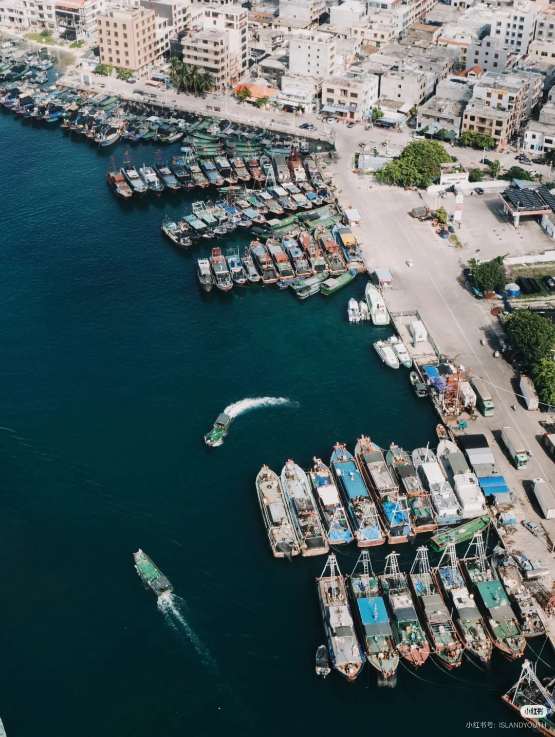 刷到这组海边渔获照，瞬间破防了🌊
