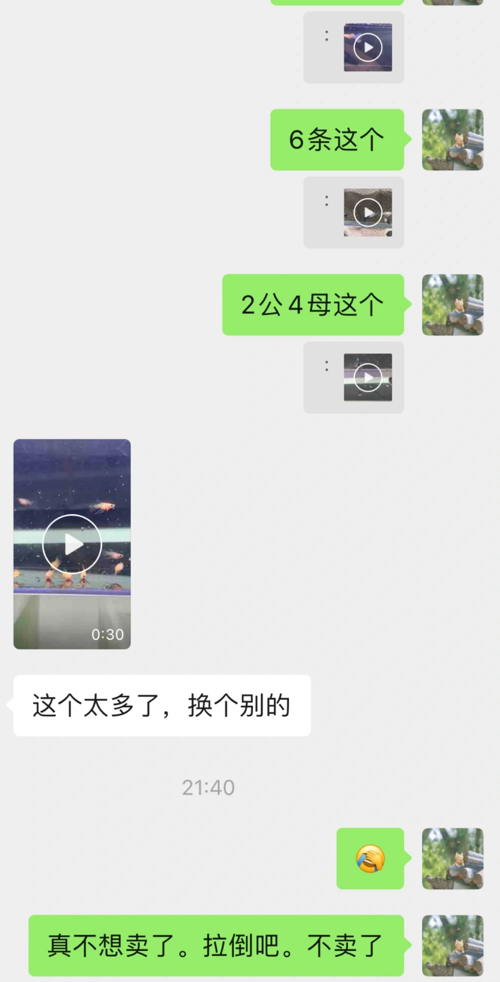 我是不是不适合卖鱼呢？