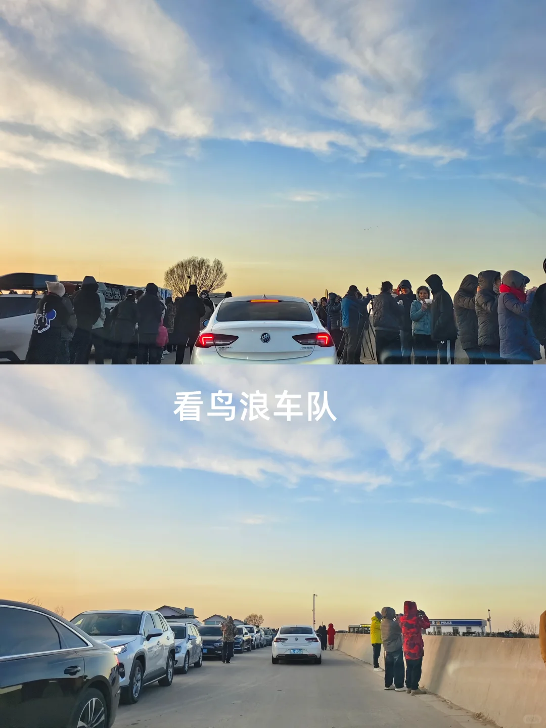 看鸟浪、撸草垛、炫深海鱼锅附攻略