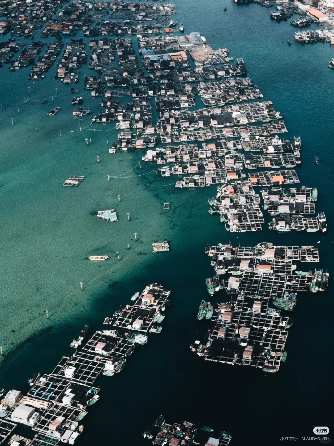 刷到这组海边渔获照，瞬间破防了🌊