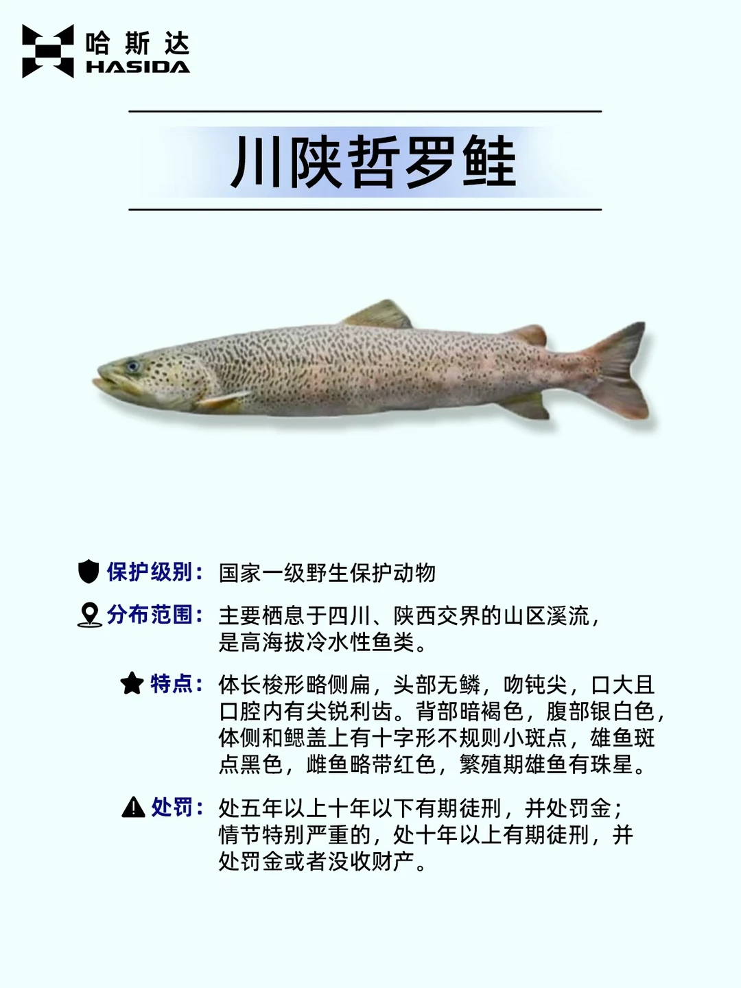 钓鱼人保命！这12种鱼遇到一定要放生⚠️