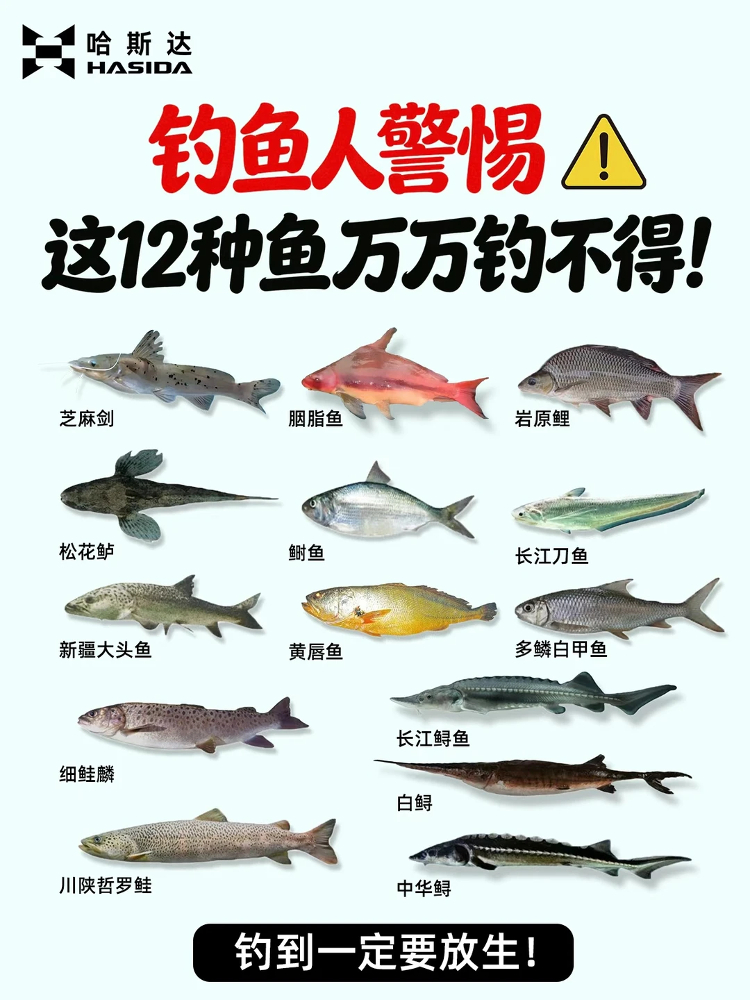 钓鱼人保命！这12种鱼遇到一定要放生⚠️