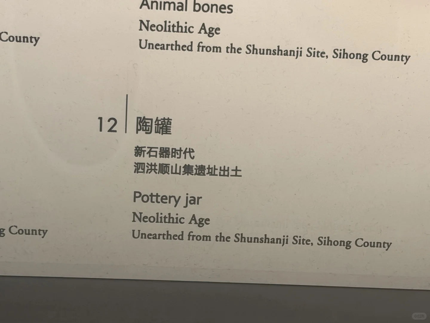 微笑了五千年的江豚 戴个帽子也不是鸟