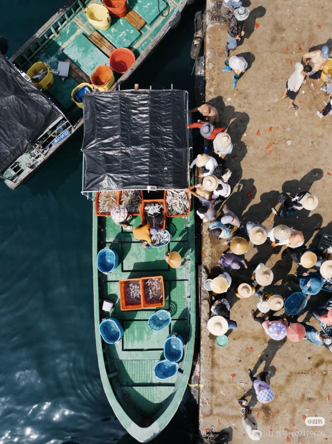 刷到这组海边渔获照，瞬间破防了🌊