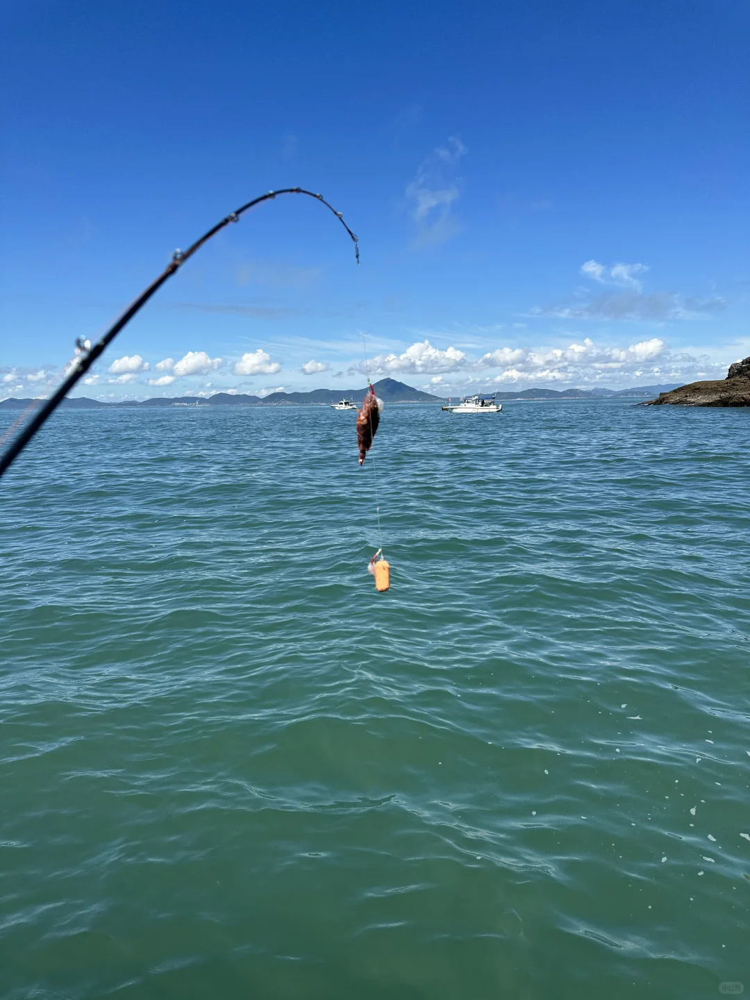 小小海钓 拿下！
