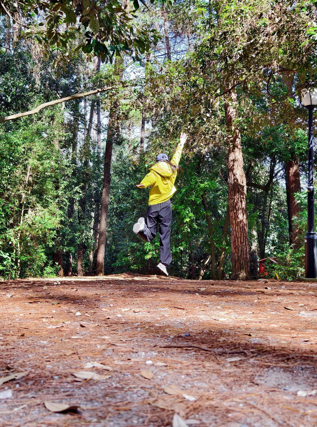 柳州三门江徒步｜在城市森林里拍出森系大片