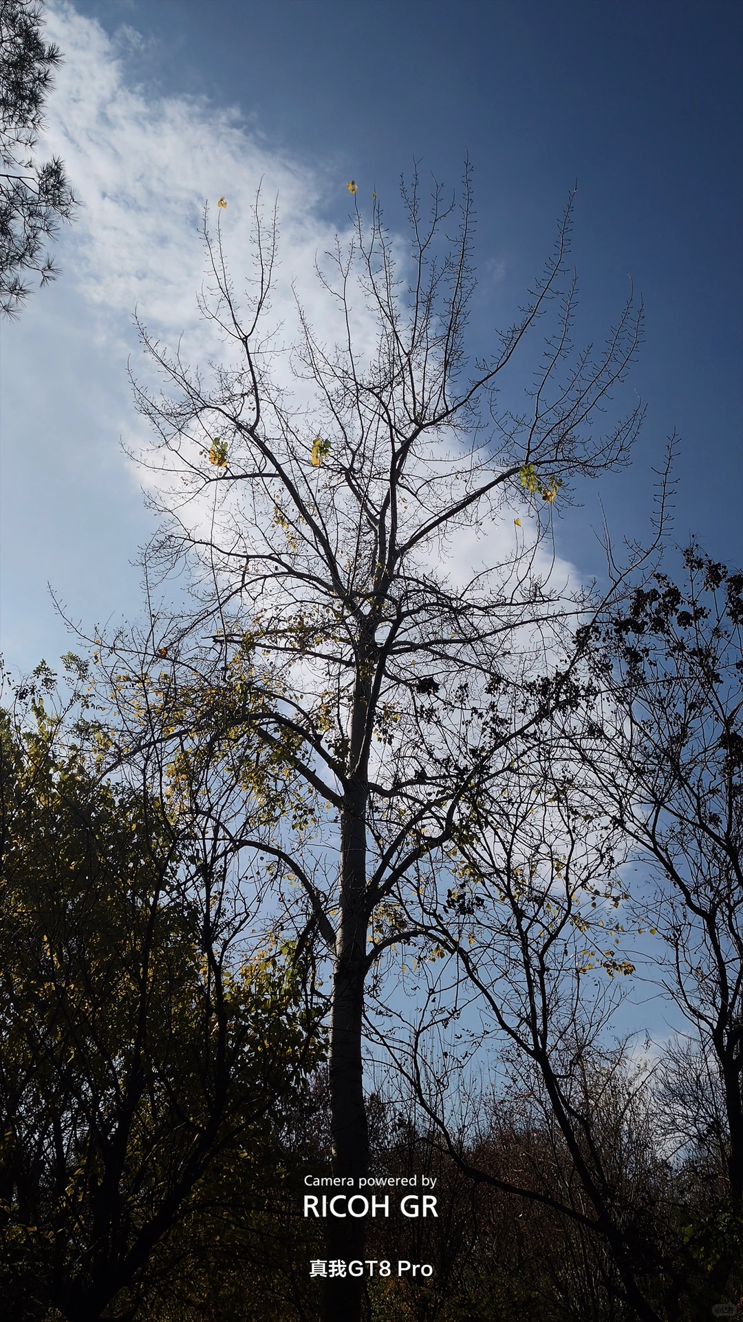 把真我GT8 Pro的价值发掘出来！