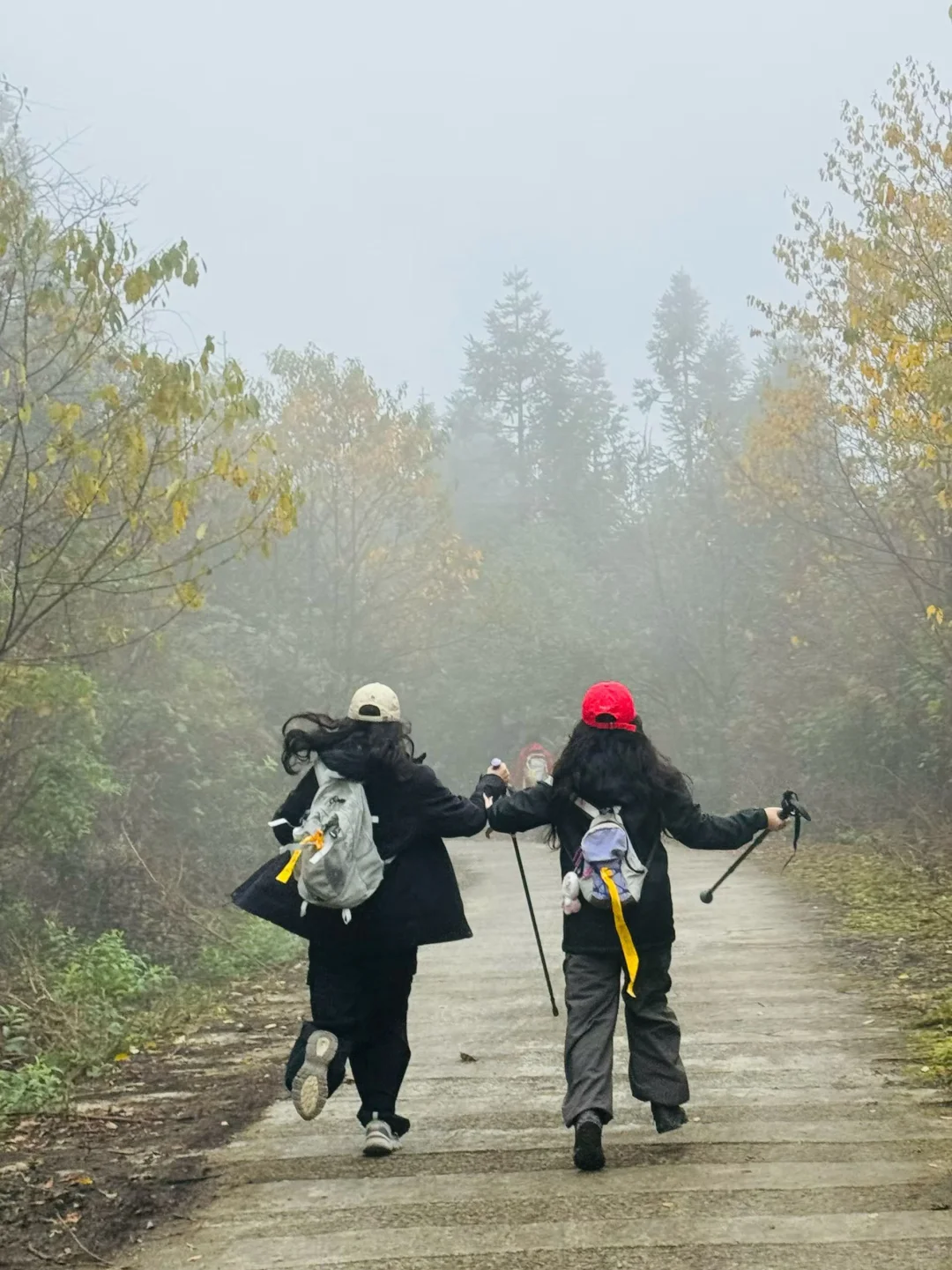 重庆秋景徒步天花板！玉带山彩林+山野绝了，
