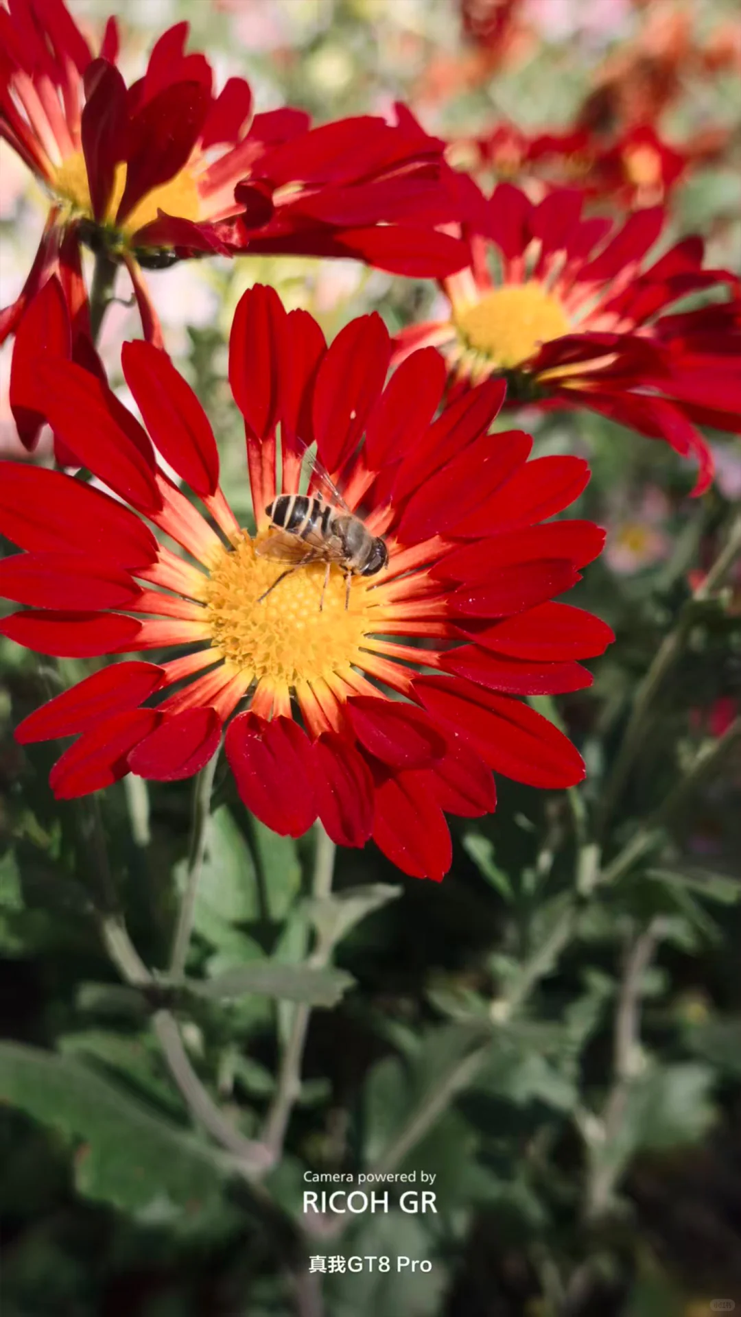 把真我GT8 Pro的价值发掘出来！