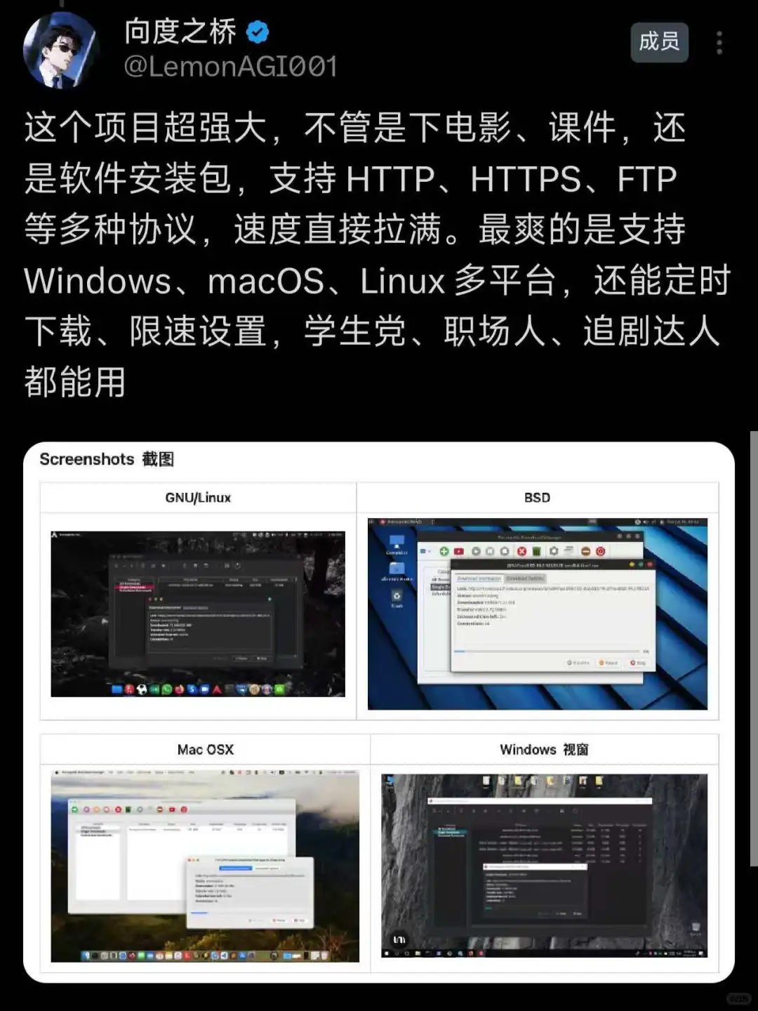 X 上疯传！超强大的跨平台下载神器