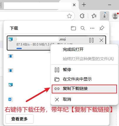 复制链接到【百度网盘】，加速下载