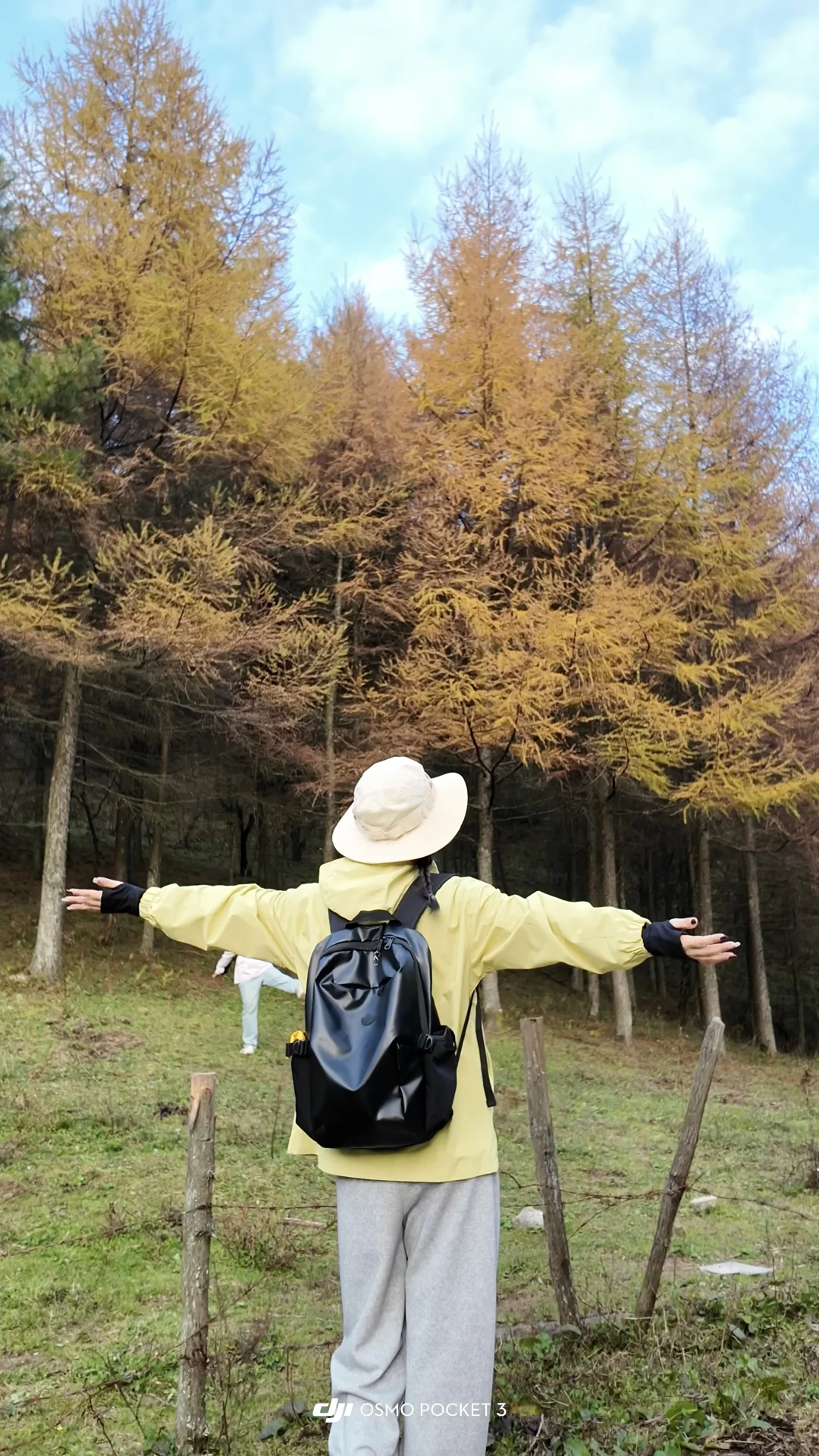 重庆秋景徒步天花板！玉带山彩林+山野绝了，