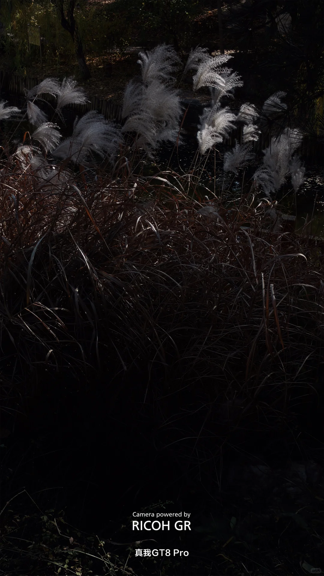 把真我GT8 Pro的价值发掘出来！