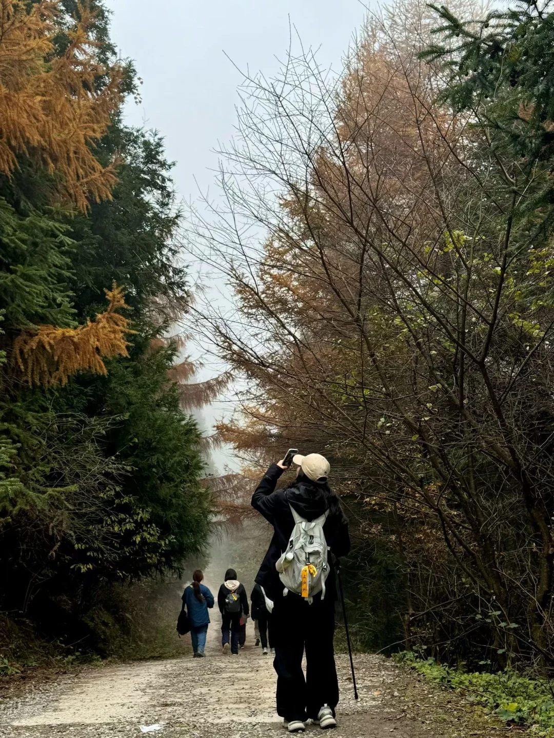 重庆秋景徒步天花板！玉带山彩林+山野绝了，