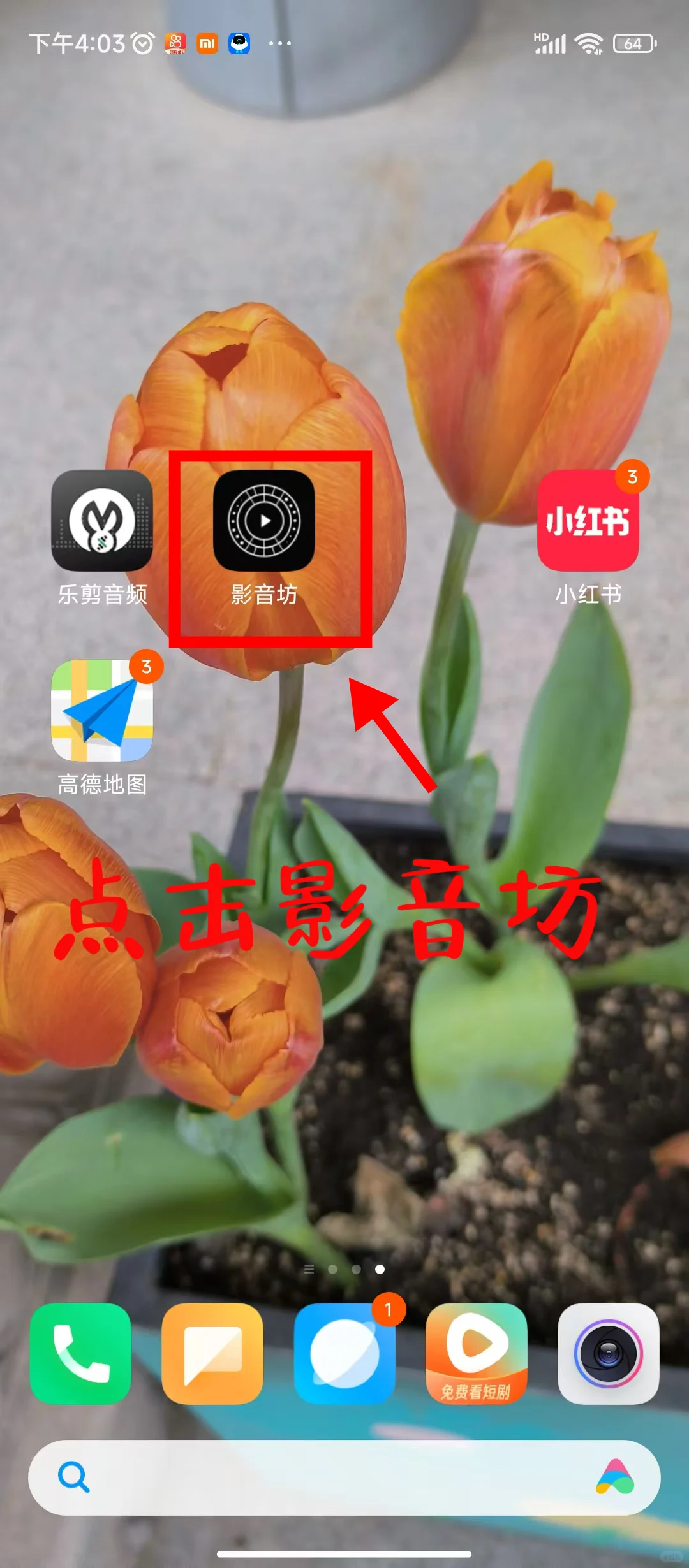 终于找到了！免费提取视频的捷径