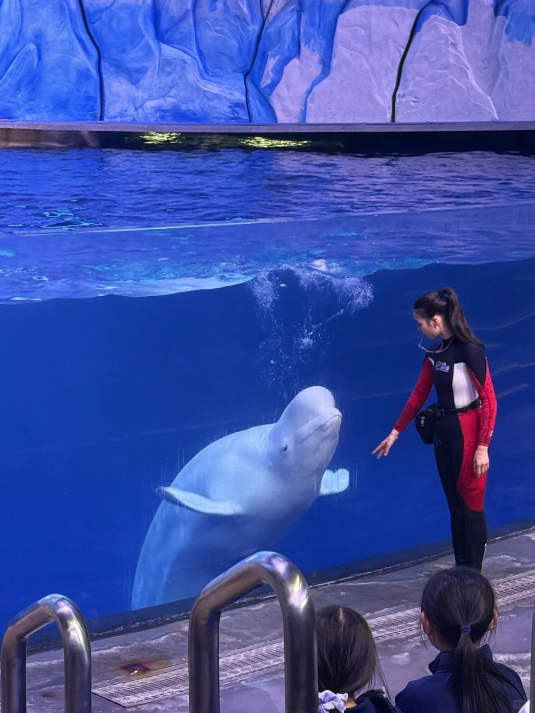 和小鱼布噜布噜的一天ᐝ🐡🐠🐬🐋
