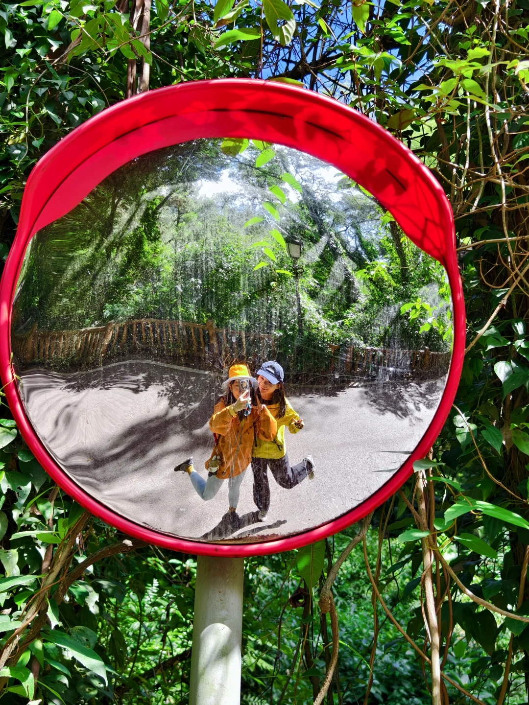 柳州三门江徒步｜在城市森林里拍出森系大片