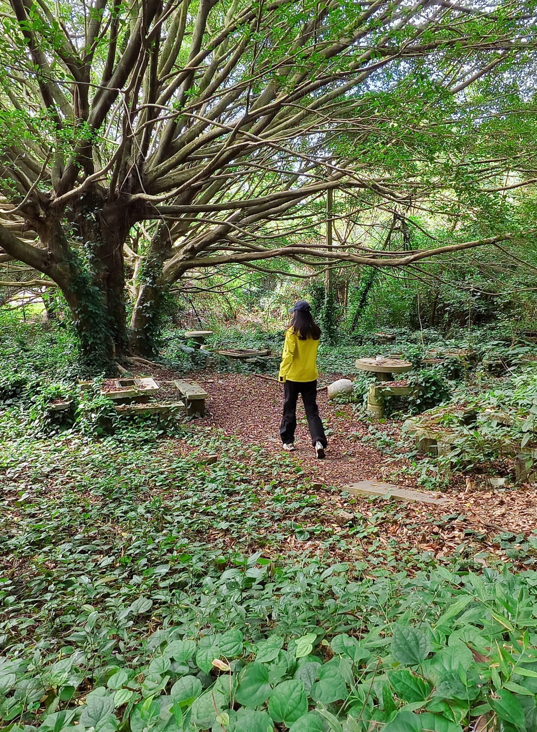 柳州三门江徒步｜在城市森林里拍出森系大片