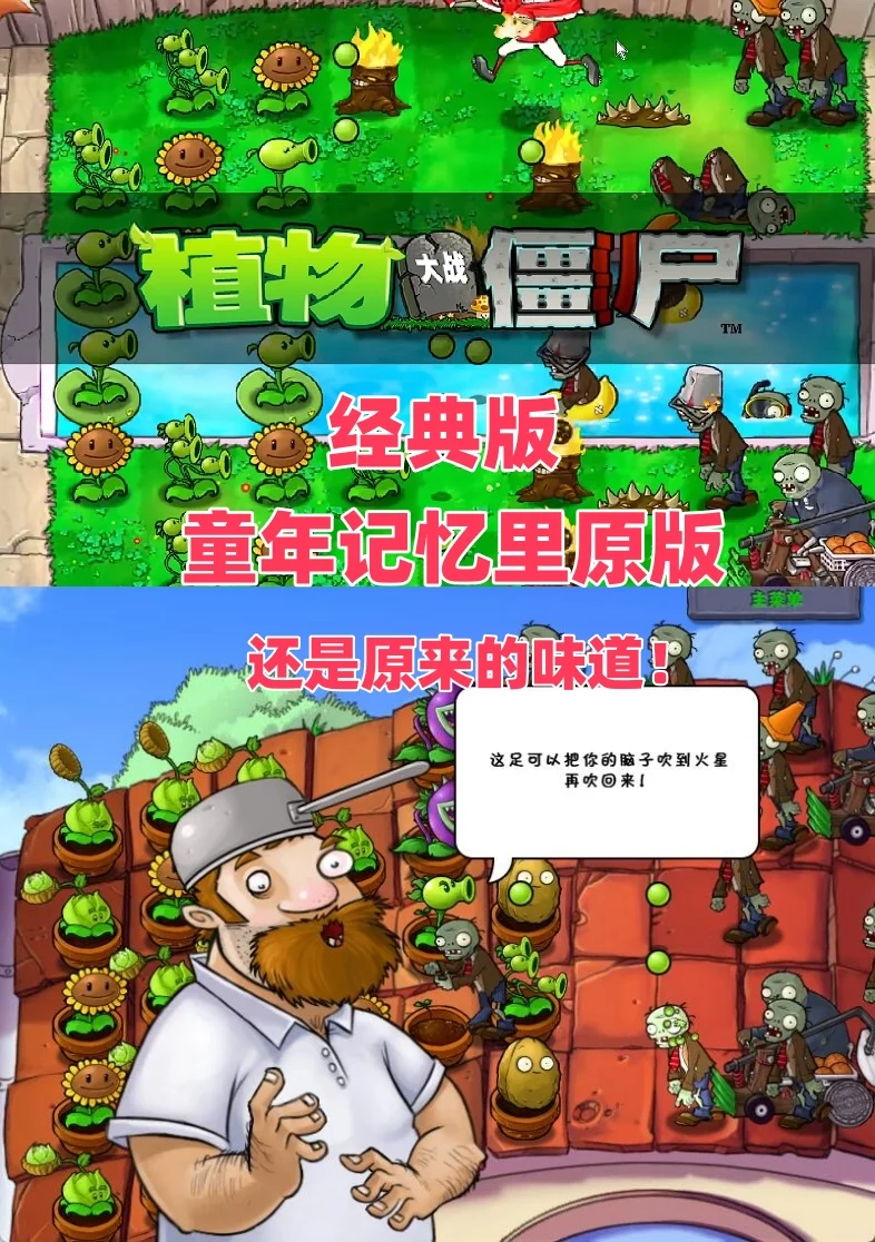 植物大战僵尸1最古老最原始经典版下载教程